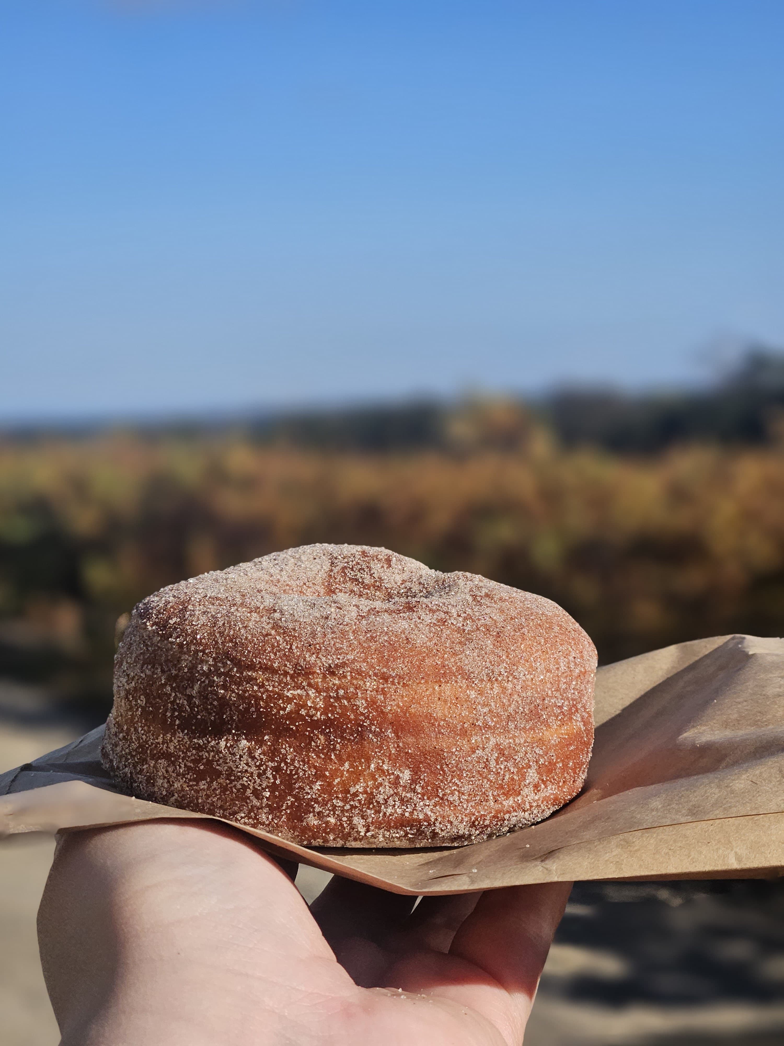 Cinnamon doughnut fresh from Home Grain Bakery